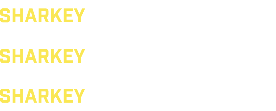 strength. Stability. Sucess